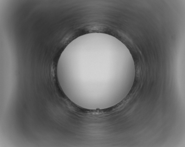 X0000112840282200908211005