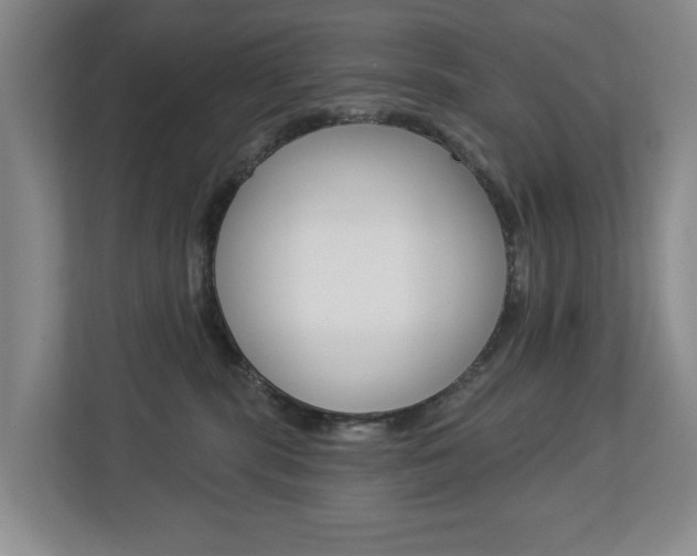 X0000112840283200908211005