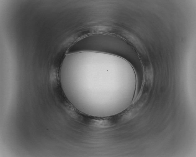 X0000112840284200908211005