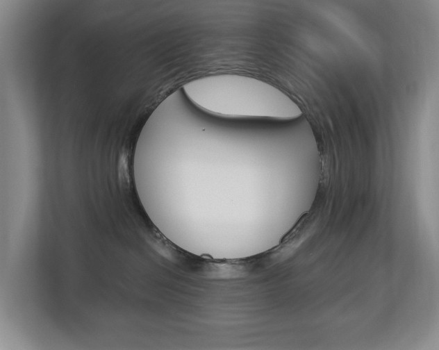 X0000112840286200908211005