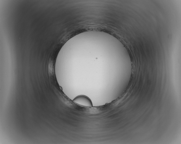 X0000112840287200908211005