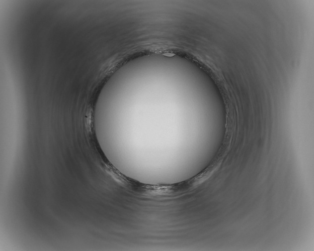 X0000112840288200908211005