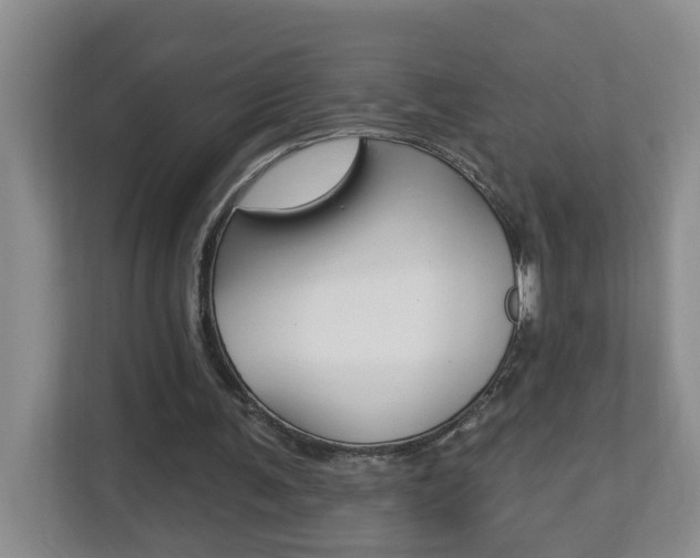 X0000112840291200908211004