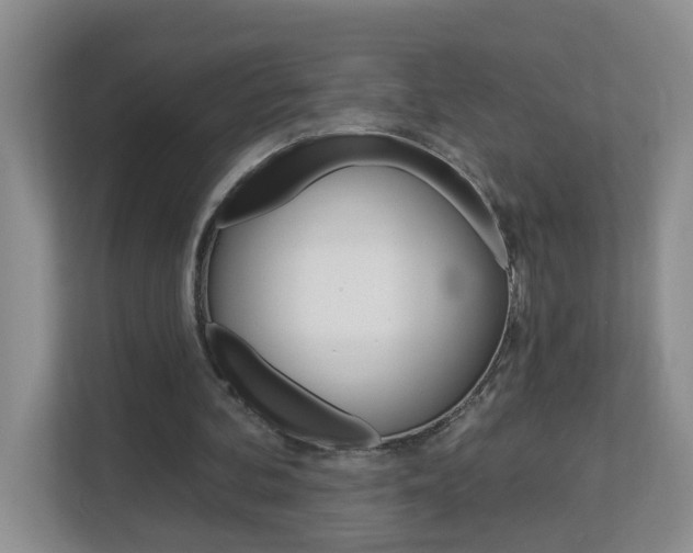 X0000112840292200908211004