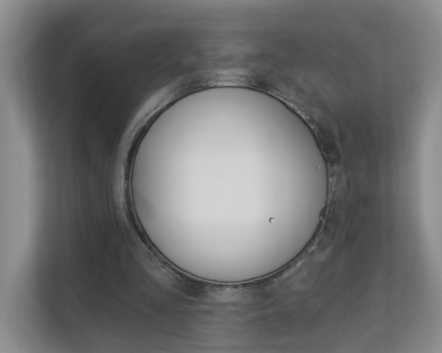 X0000112840293200908211004