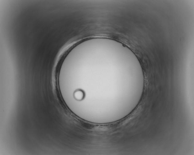 X0000112840294200908211004