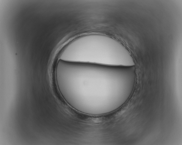 X0000112840295200908211004