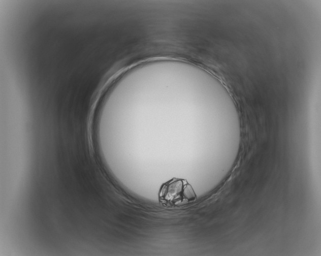 X0000112840296200908211004