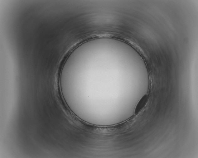 X0000112840297200908211004