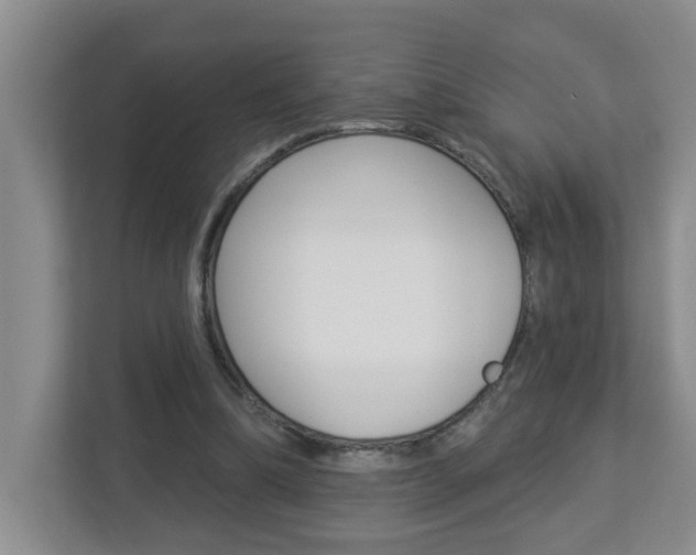 X0000112840298200908211004