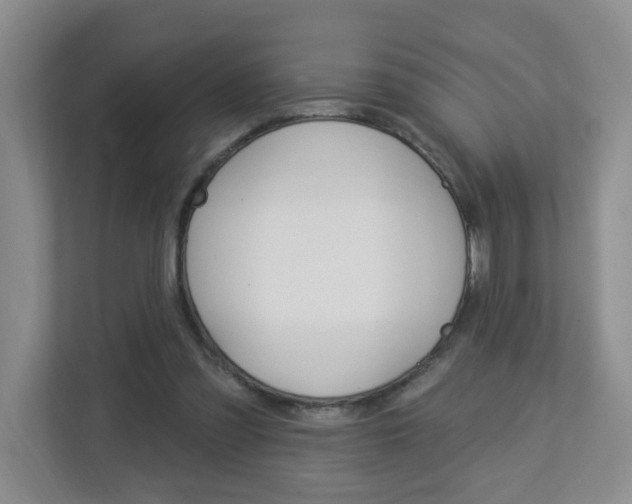 X0000112840301200908211004