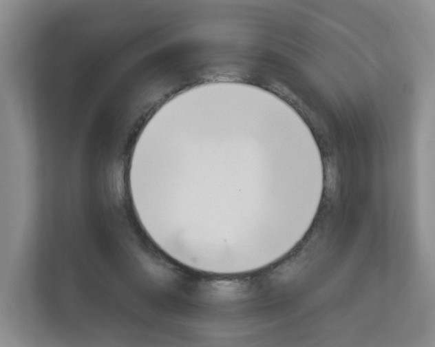 X0000112840302200908211004