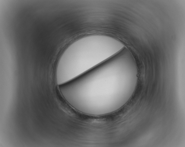 X0000112840303200908211004