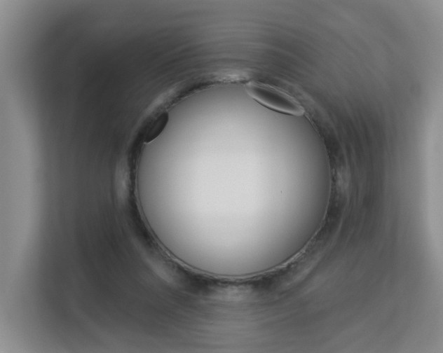 X0000112840304200908211004