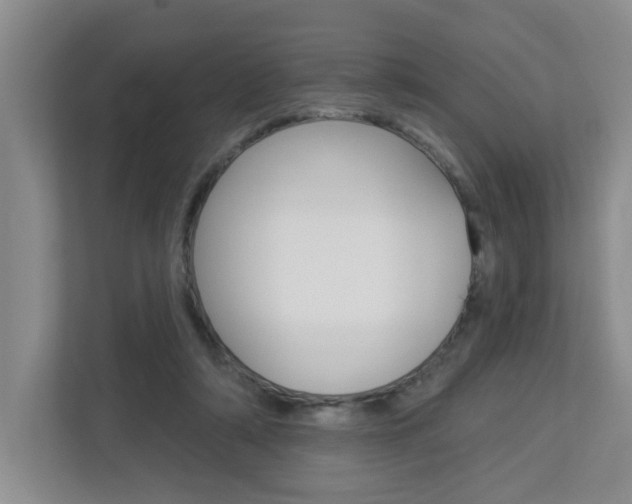 X0000112840306200908211004