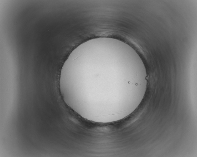 X0000112840307200908211004