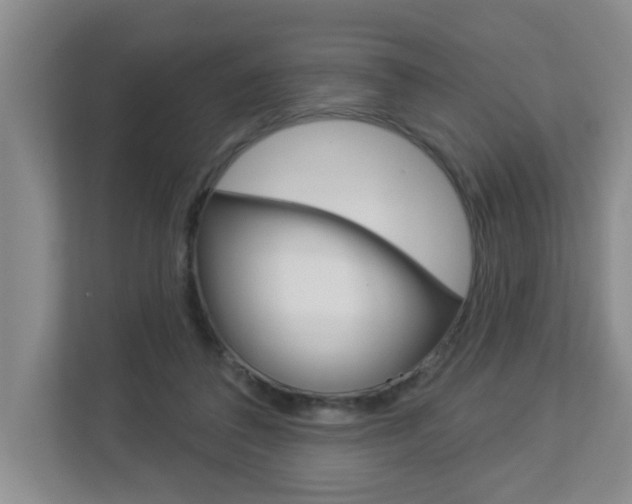 X0000112840308200908211004