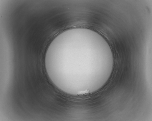 X0000112840309200908211004