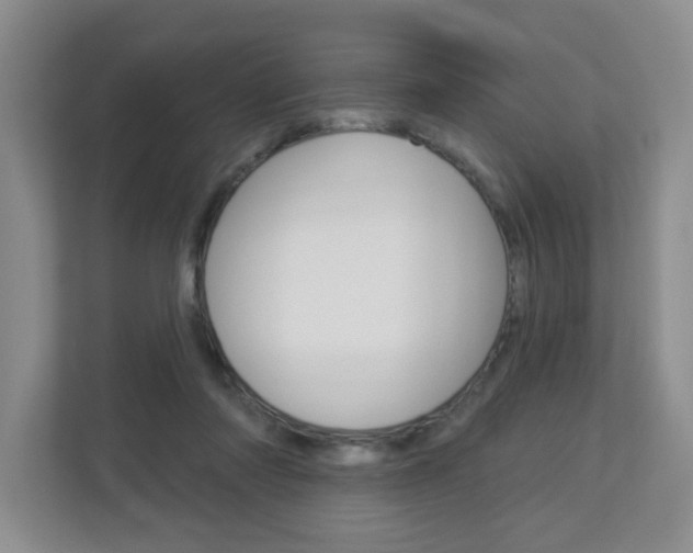 X0000112840310200908211004