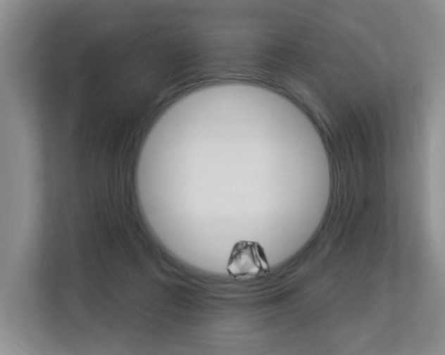 X0000112840312200908211004