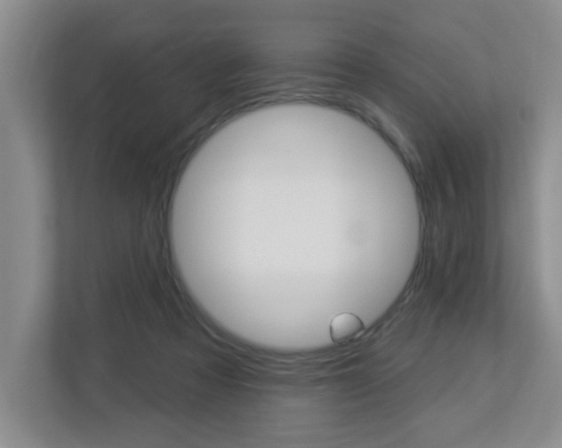 X0000112840313200908211004