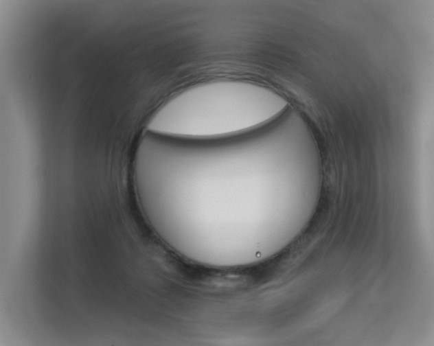 X0000112840315200908211004