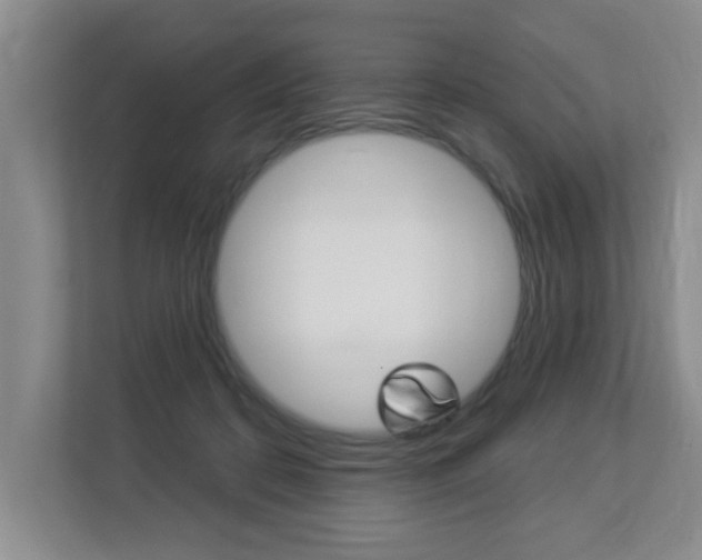 X0000112840316200908211004