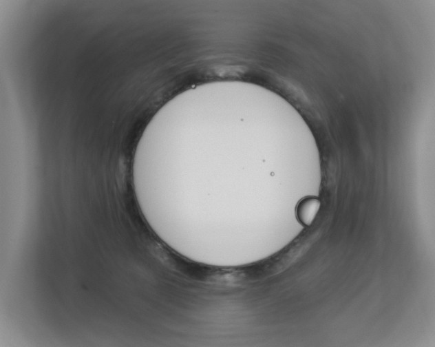 X0000112840321200908211004