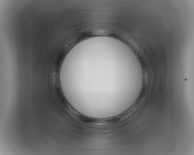 X0000112840322200908211004