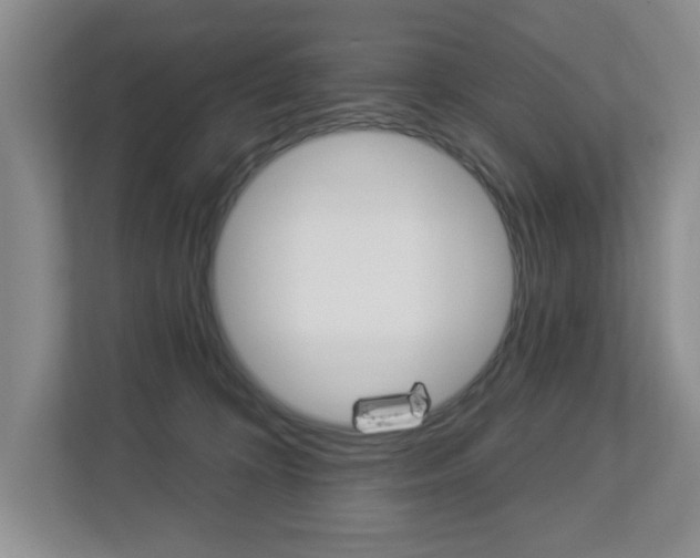 X0000112840324200908211004