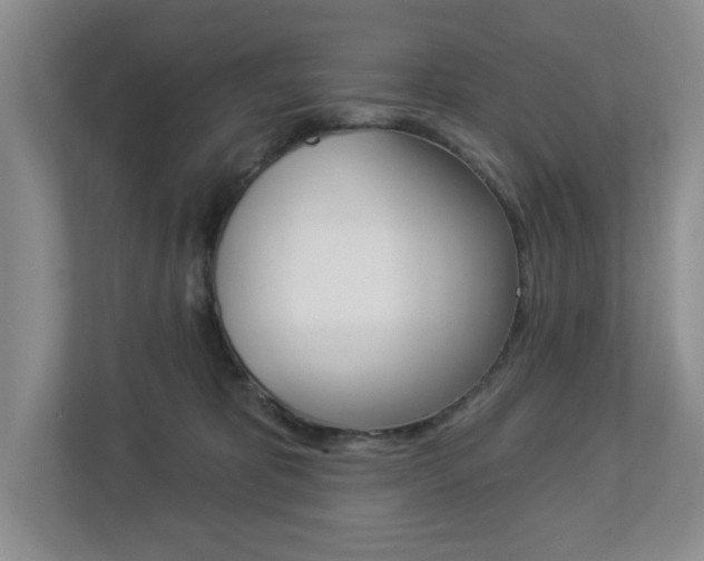 X0000112840325200908211004