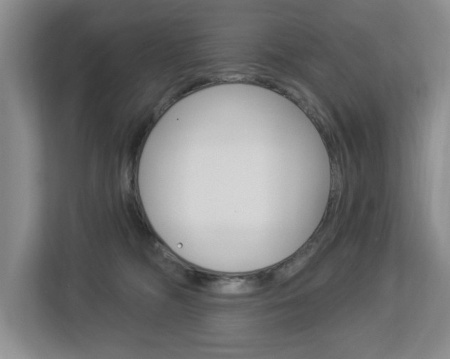 X0000112840326200908211004