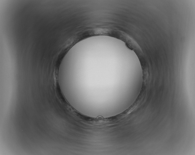 X0000112840329200908211004