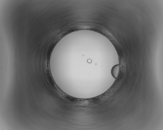 X0000112840330200908211004