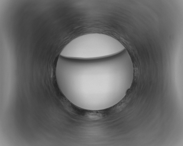 X0000112840331200908211004