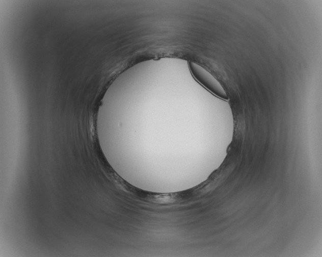 X0000112840335200908211004