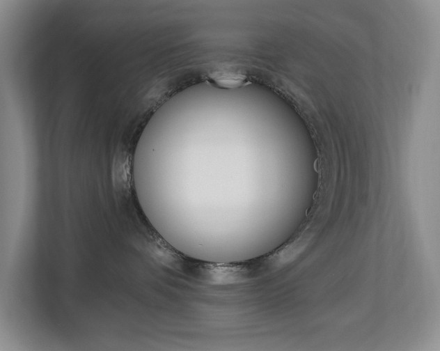 X0000112840336200908211004