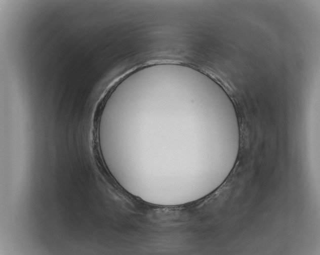 X0000112840338200908211003