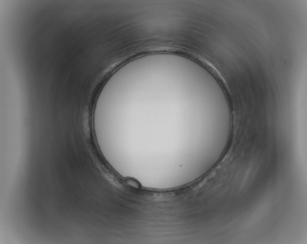 X0000112840345200908211003