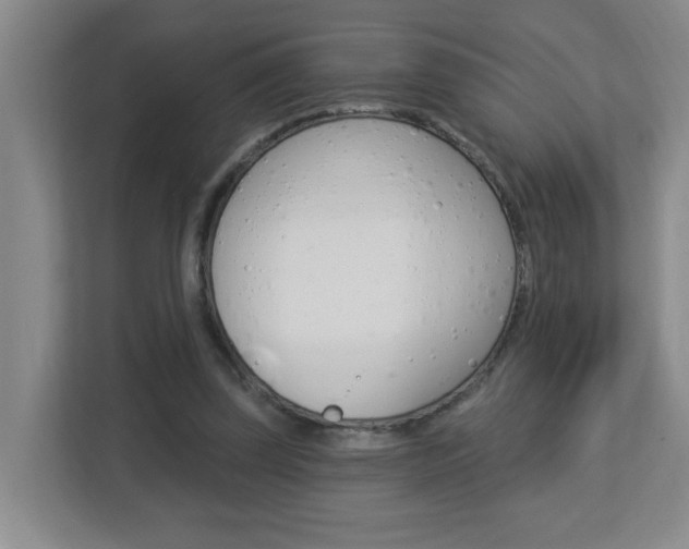 X0000112840347200908211003