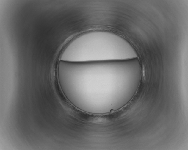 X0000112840348200908211003
