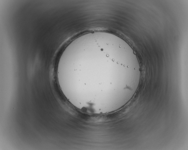 X0000112840351200908211003