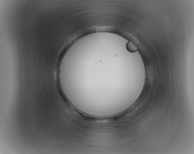 X0000112840357200908211003