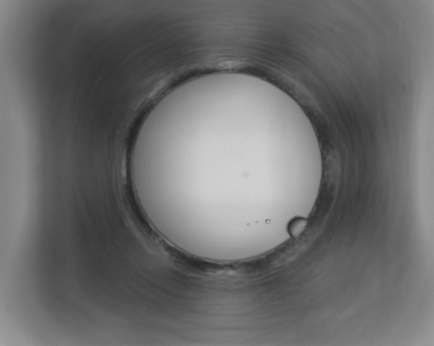 X0000112840358200908211003