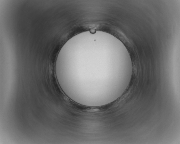 X0000112840374200908211003