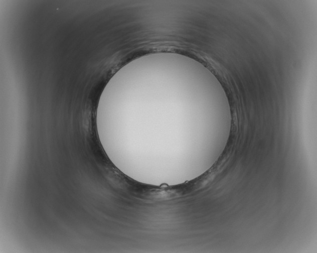 X0000112840379200908211004