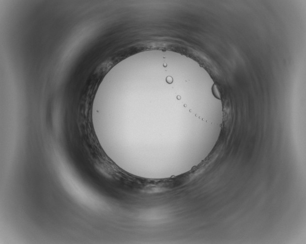 X0000112840381200908211004