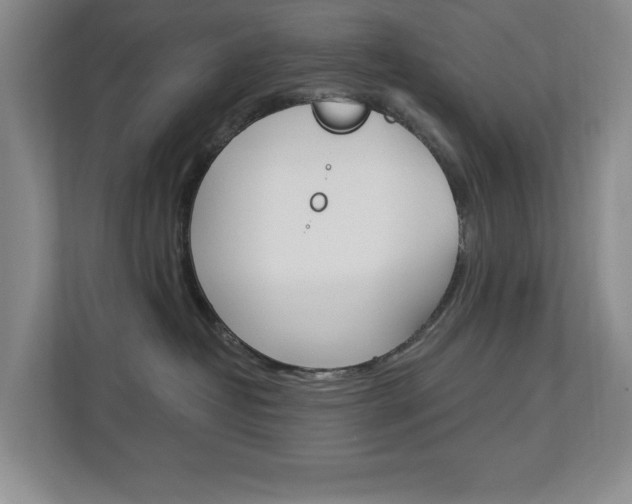 X0000112840382200908211004