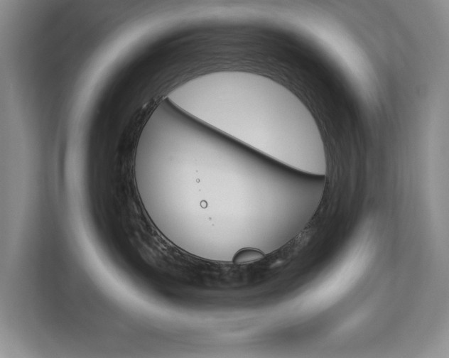 X0000112840383200908211004