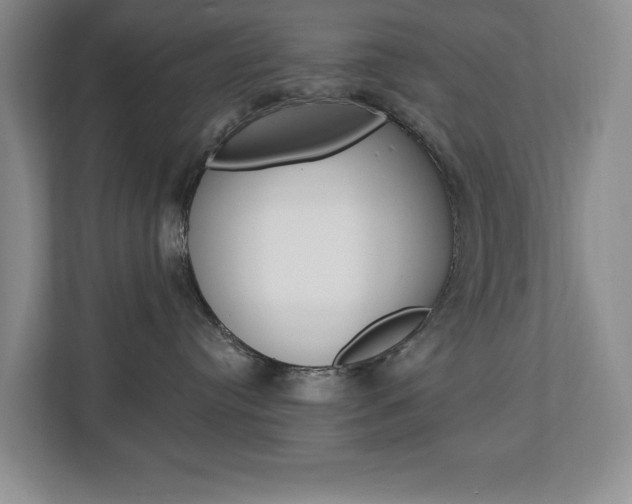 X0000112840384200908211004